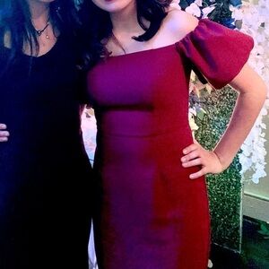 Off The Shoulder Puff Sleeve Wine Dress